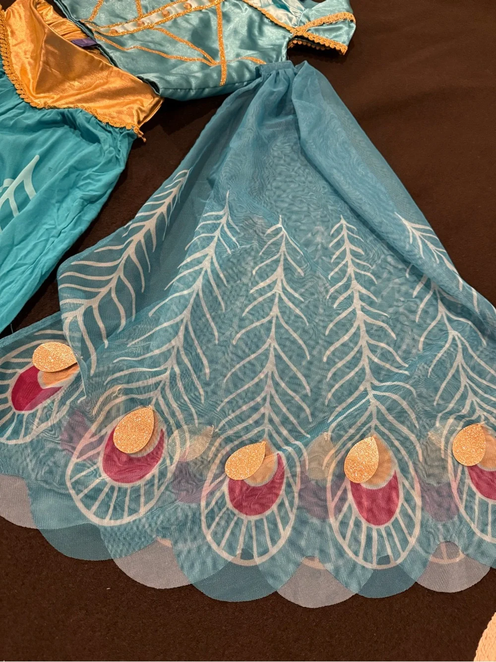 Disney Princess Jasmine Teal and Gold Peacock-Inspired Princess Costume